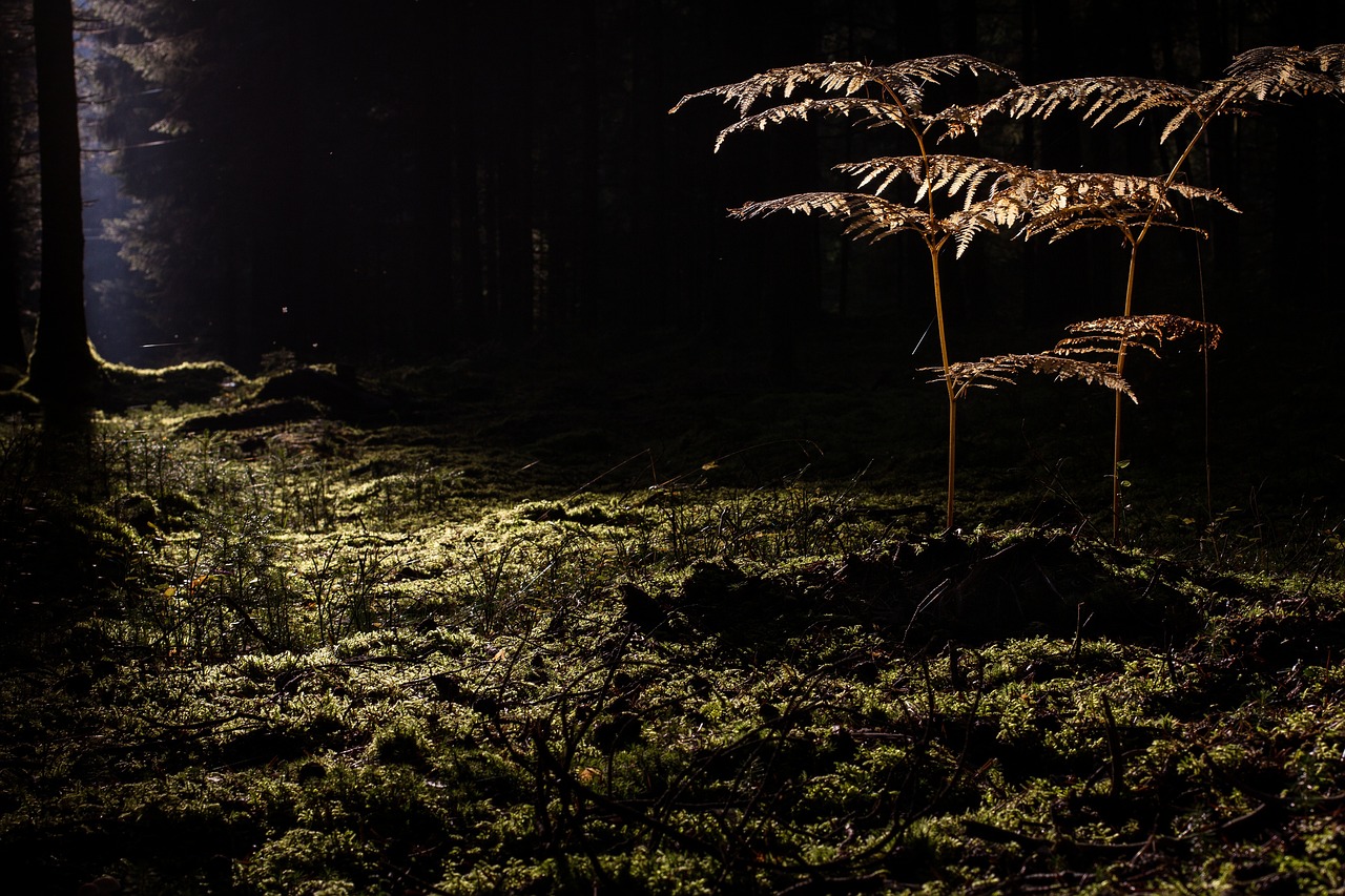 毛穴のたるみを改善するための皮膚科での治療法は？