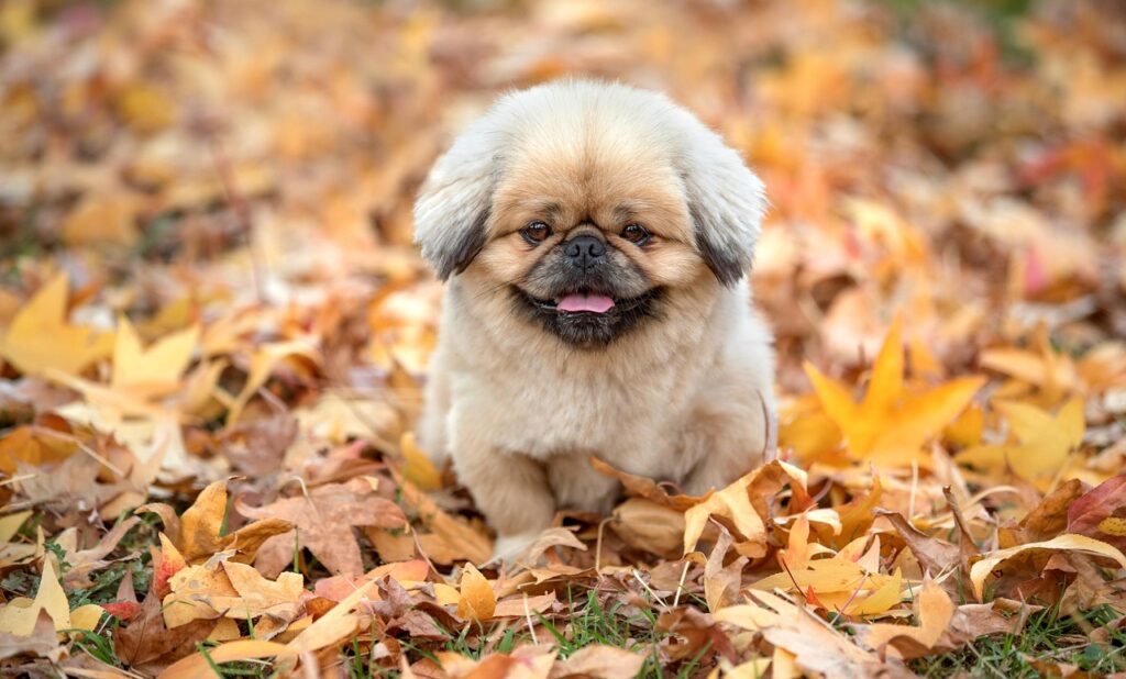 毛穴の詰まりを改善するための効果的な方法は？