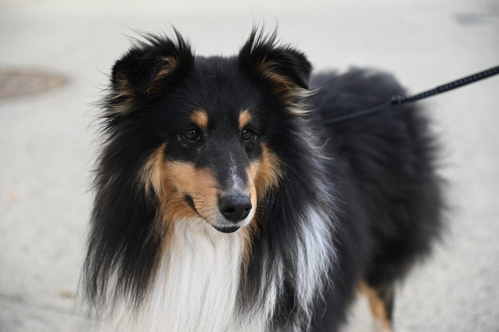 毛穴の詰まりを放置するとニキビはどうなる？