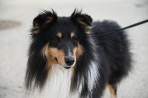 毛穴の詰まりを放置するとニキビはどうなる？