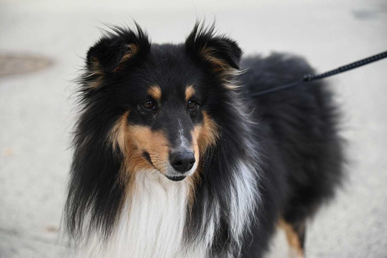 毛穴の詰まりを放置するとニキビはどうなる？