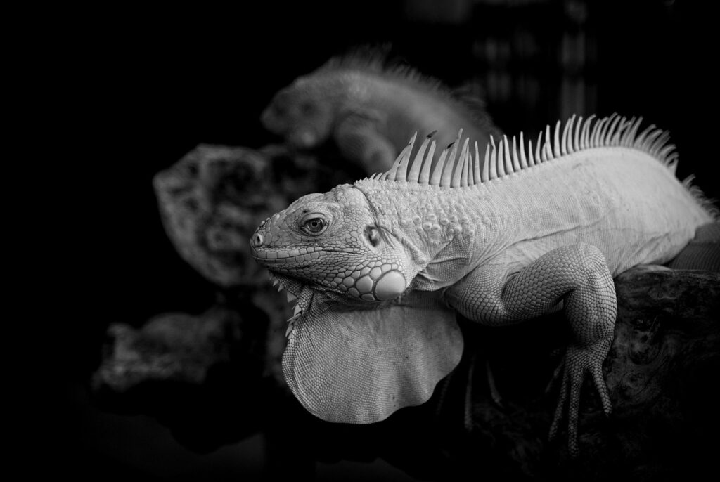 毛穴詰まりを解消するエステの吸引方法とは？