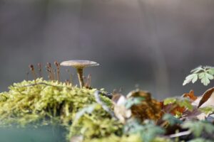 毛穴のたるみを予防するための効果的な方法は？