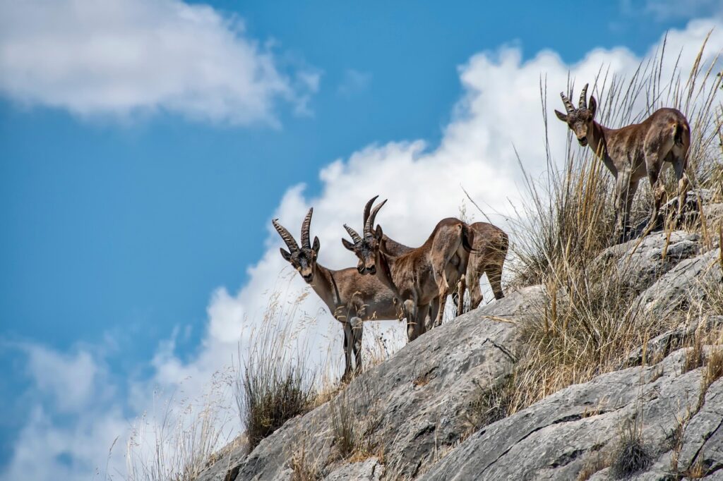 毛穴の角栓にオロナインを使った時の効果は？