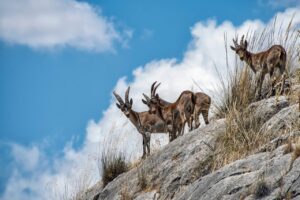 毛穴の角栓にオロナインを使った時の効果は？