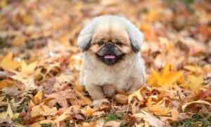 毛穴の詰まりを改善するための効果的な方法は？