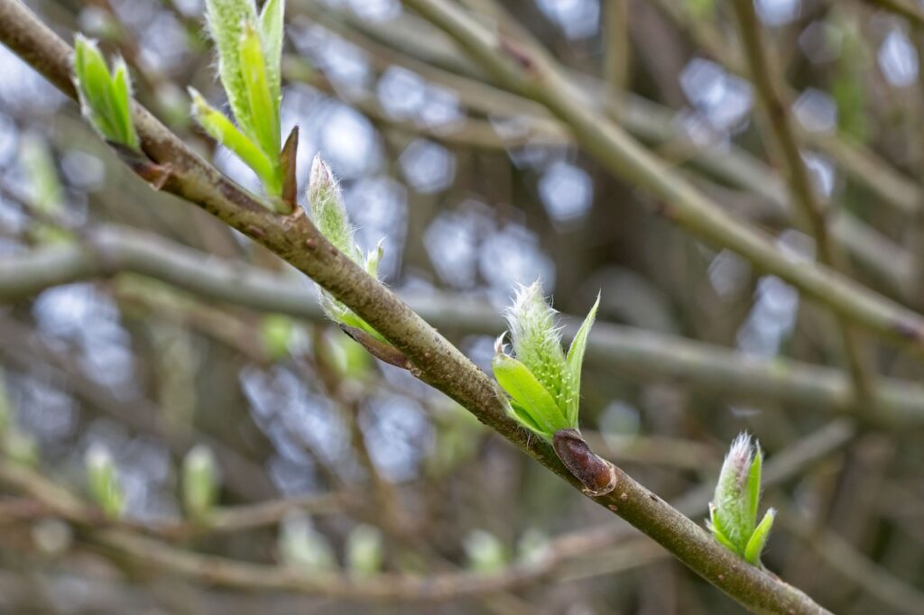 角栓が溜まる原因とは何か？