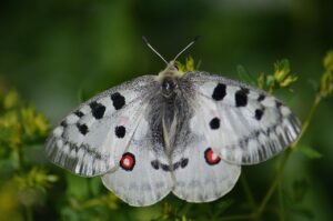 頬の毛穴が目立つ時の効果的な対策は？