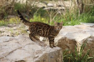 30代の毛穴ケアで失敗しないための方法と心構えは？