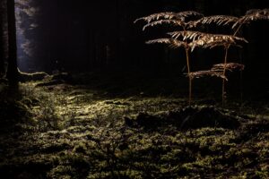 毛穴の開きに対するレチノールの効果とは？