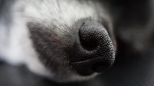 毛穴を目立たなくする方法はこれだ！あなたに合った対策は？
